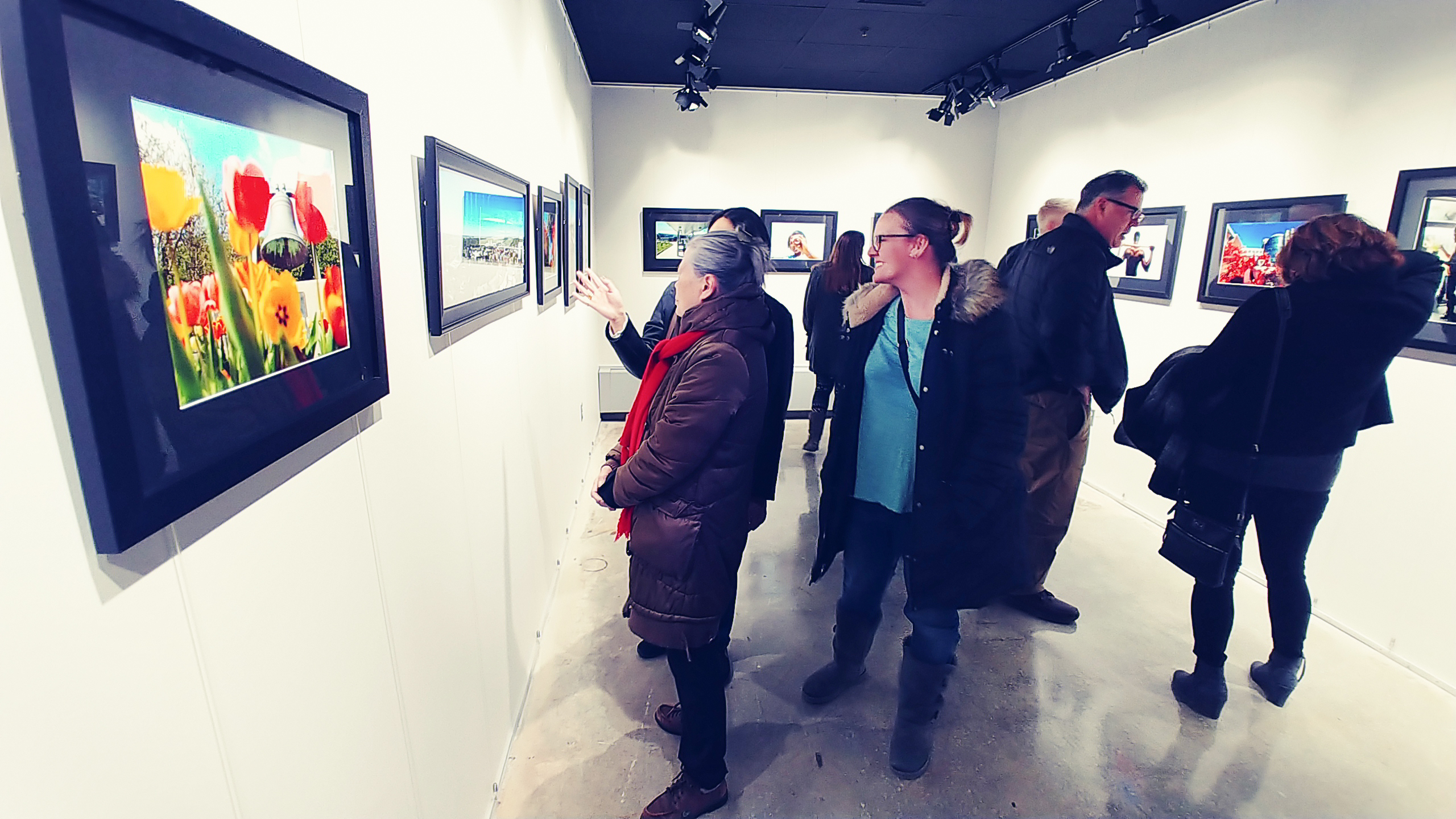 Gallery Landing Page Image
